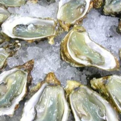 Các Món Ăn Hải Sản 5