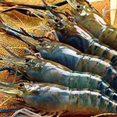 Các Món Ăn Hải Sản 2