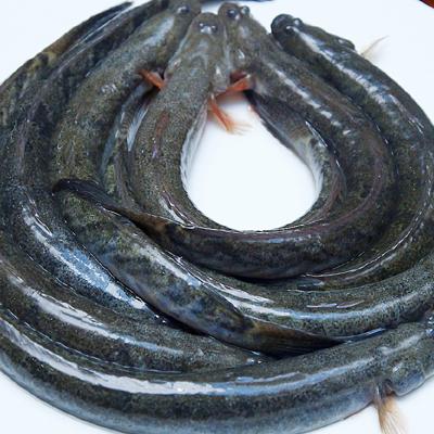 Các Món Ăn Hải Sản 2 3